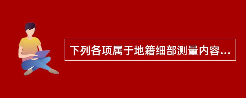 下列各项属于地籍细部测量内容的有（　　）。