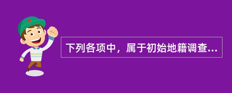 下列各项中，属于初始地籍调查成果验收条件的有（　　）。