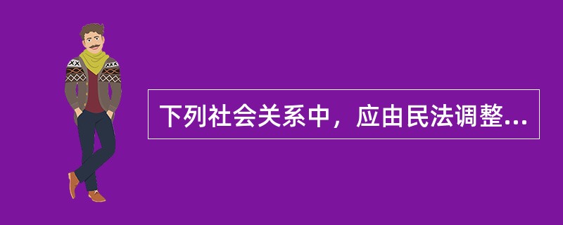 下列社会关系中，应由民法调整的是（　　）。
