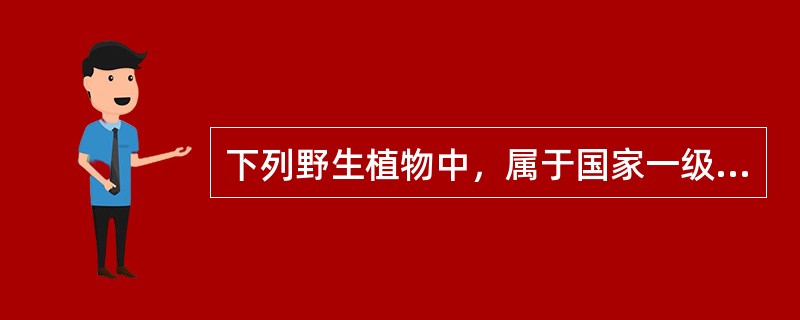 下列野生植物中，属于国家一级重点保护植物的是（　　）。