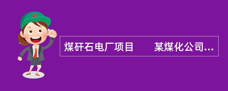 煤矸石电厂项目　　某煤化公司位于北方山区富煤地区，周围煤矿密集，在煤洗选生产过程中，产出中煤和煤矸石约100万t/a，且周围现存煤矸石有600万t/a以上。该公司决定利用当地的煤矸石、中煤，安装4台超