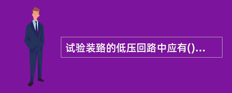 试验装臵的低压回路中应有()个串联电源开关，并加装过载自动跳闸装臵。