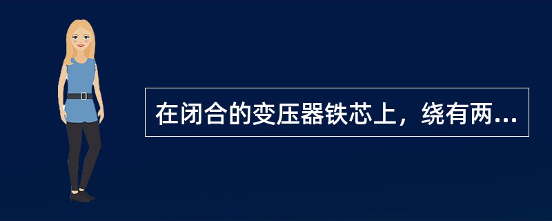 在闭合的变压器铁芯上，绕有两个互相绝缘的绕组，其中，接入电源的一侧叫()，输出电能的一侧为二次侧绕组。