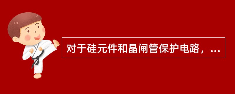 对于硅元件和晶闸管保护电路，可采用RCIA系列熔断器。()