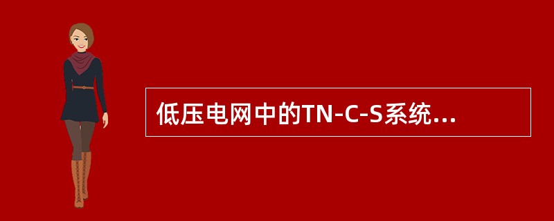 低压电网中的TN-C-S系统，整个系统内()