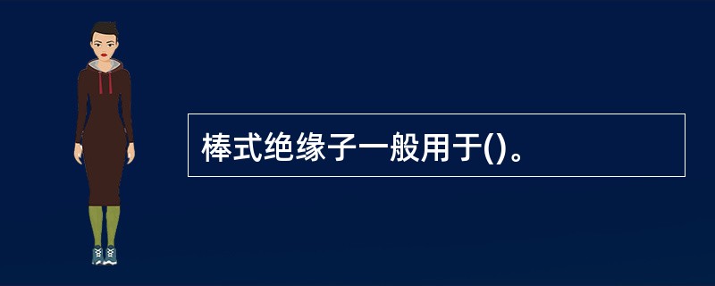 棒式绝缘子一般用于()。