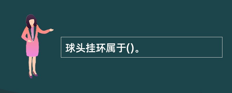 球头挂环属于()。