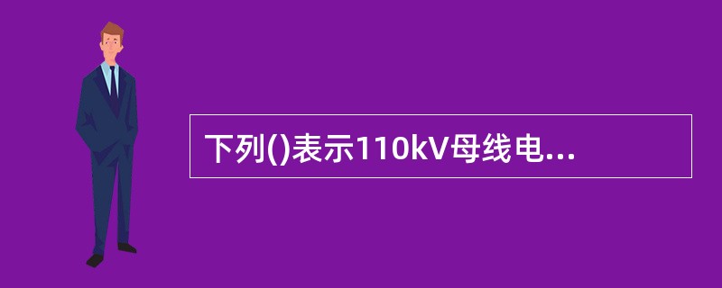 下列()表示110kV母线电流差动保护A相电流公共回路。