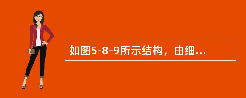 如图5-8-9所示结构，由细长压杆组成，各杆的刚度均为EI，则P的临界值为（　　）。<br /><img border="0" style="width