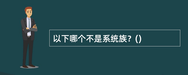 以下哪个不是系统族？()