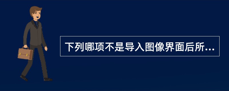 下列哪项不是导入图像界面后所支持的文件类型格式？()