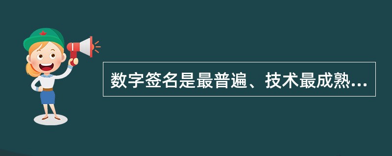数字签名是最普遍、技术最成熟、可操作性最强的一种电子签名技术，当前已得到实际应用的是在（　　）。