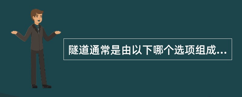 隧道通常是由以下哪个选项组成？（　　）