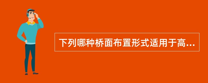 下列哪种桥面布置形式适用于高速公路桥梁？（　　）