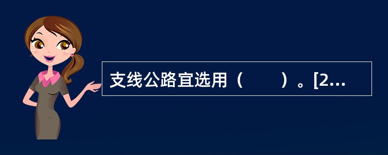 支线公路宜选用（　　）。[2019年真题]