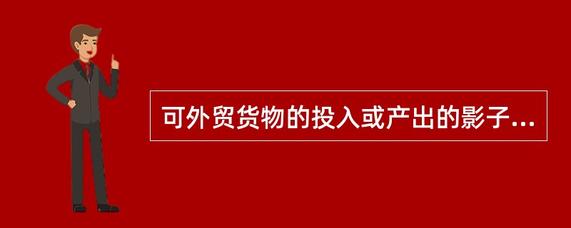 可外贸货物的投入或产出的影子价格应根据口岸价格计算，下列公式正确的是（　　）。