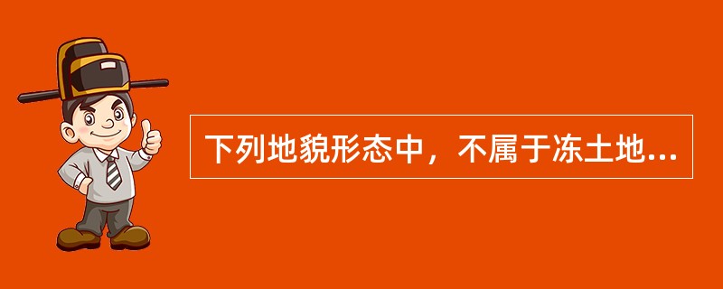 下列地貌形态中，不属于冻土地貌的是()。