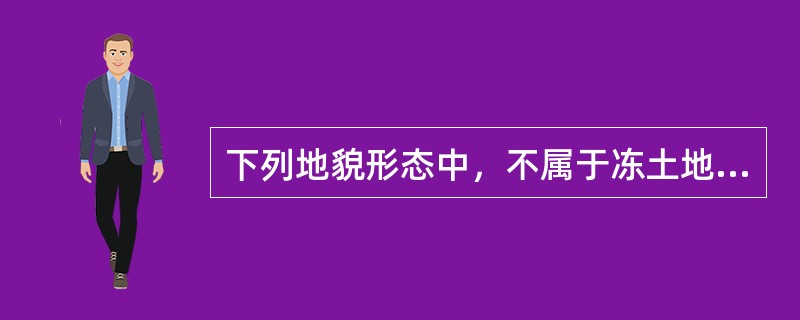 下列地貌形态中，不属于冻土地貌的是()。