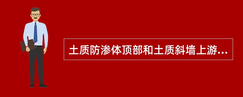 土质防渗体顶部和土质斜墙上游应设（　　）。
