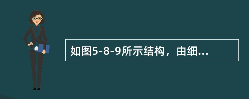 如图5-8-9所示结构，由细长压杆组成，各杆的刚度均为EI，则P的临界值为（　　）。<br /><img border="0" style="width