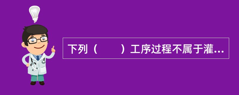 下列（　　）工序过程不属于灌注桩成桩质量检查。