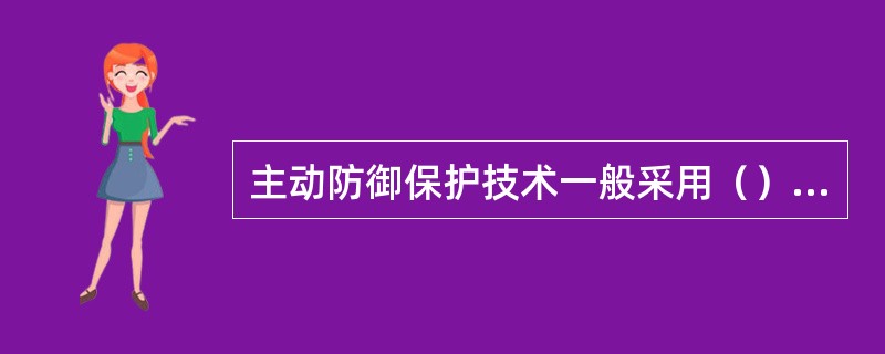 主动防御保护技术一般采用（）和虚拟专用网络等技术来实现。