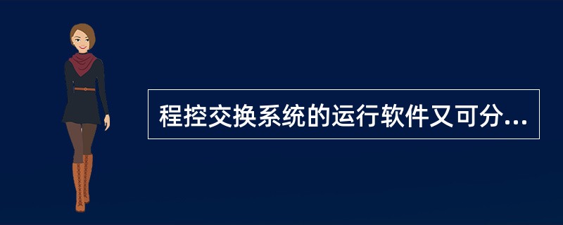 程控交换系统的运行软件又可分为（）两大类。