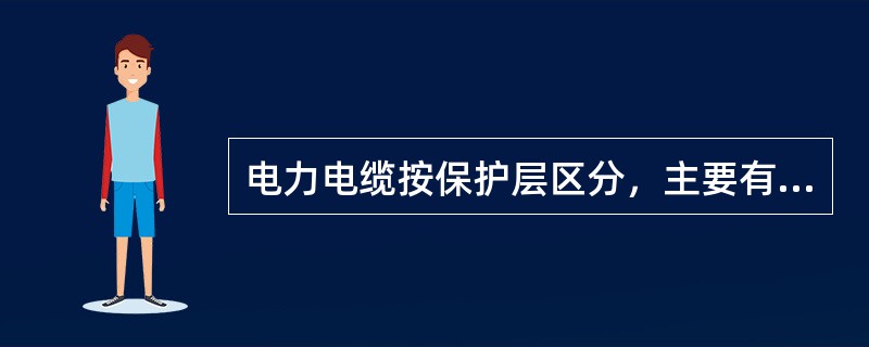 电力电缆按保护层区分，主要有（）类型。