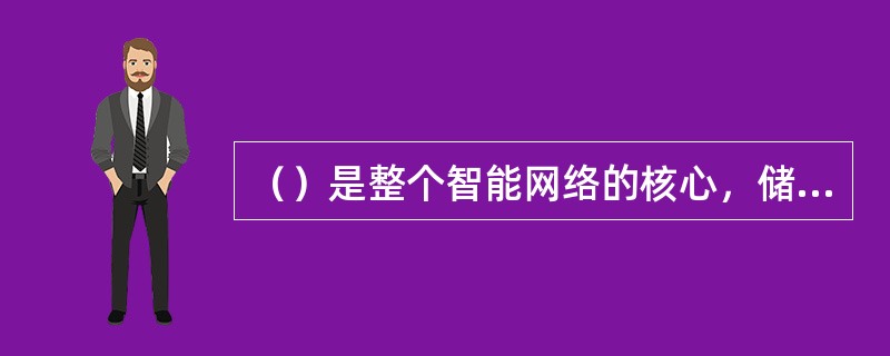 （）是整个智能网络的核心，储存了用户数据和业务逻辑。