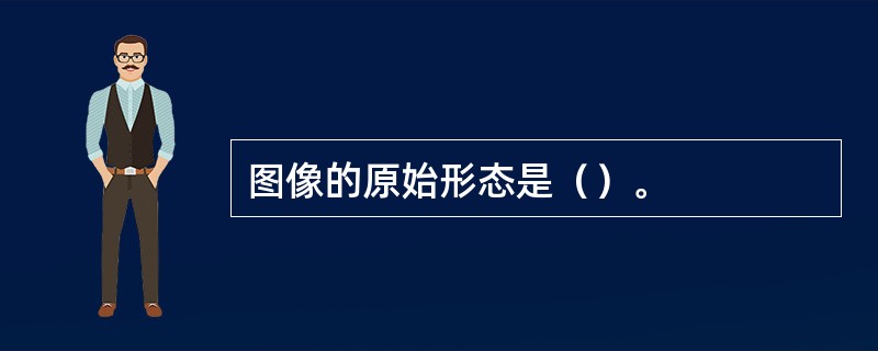 图像的原始形态是（）。