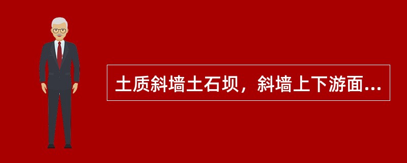 土质斜墙土石坝，斜墙上下游面应分别设置（　　）。