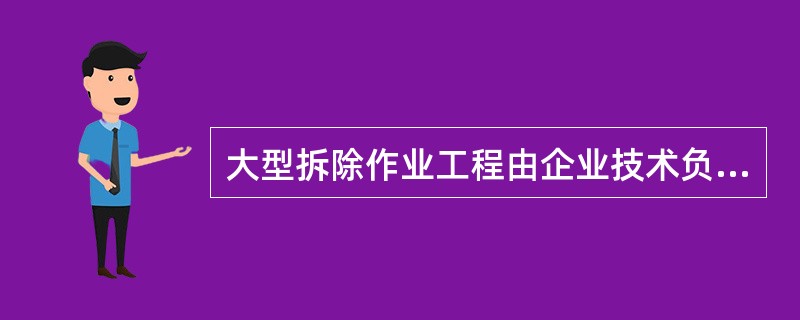 大型拆除作业工程由企业技术负责人决定是否编制施工方案，必要情况下应当组织专家进行论证。（ ）