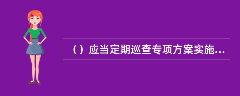 （）应当定期巡查专项方案实施情况。