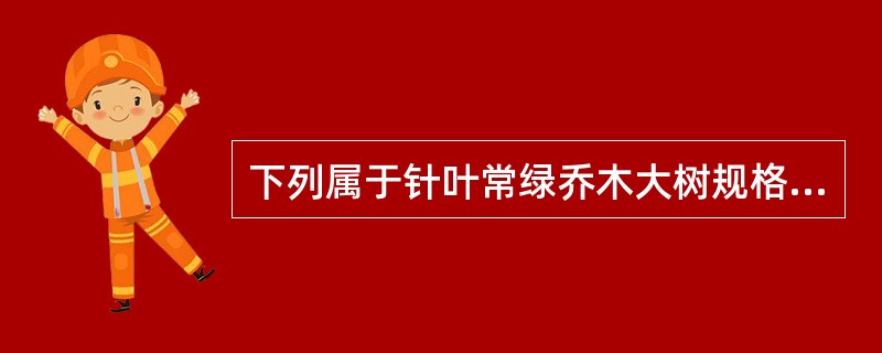 下列属于针叶常绿乔木大树规格的是（）。