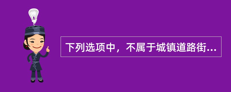 下列选项中，不属于城镇道路街面设施的是（）