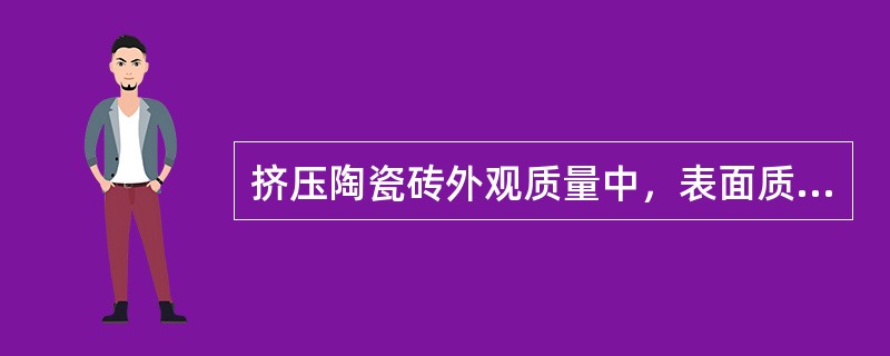 挤压陶瓷砖外观质量中，表面质量至少90%的砖主要区域无明显缺陷。