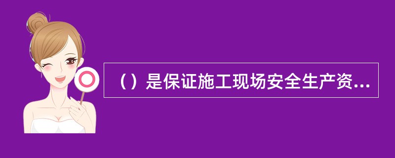 （）是保证施工现场安全生产资金投入的主要负责人，必须履行施工现场安全生产资金投入和有效使用管理职责。