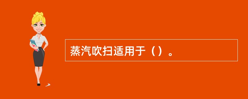 蒸汽吹扫适用于（）。