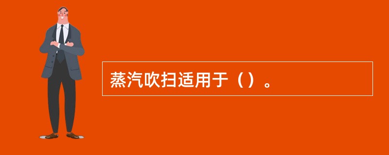 蒸汽吹扫适用于（）。