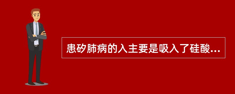 患矽肺病的入主要是吸入了硅酸盐粉尘。（）