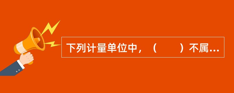 下列计量单位中，（　　）不属于SI基本单位。