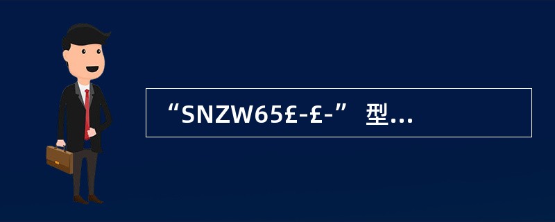 “SNZW65£­£­” 型号标记的含义是( )。