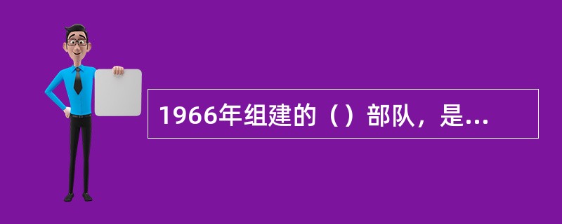 1966年组建的（）部队，是我国实行积极防御战略任务的重要核反击力量。