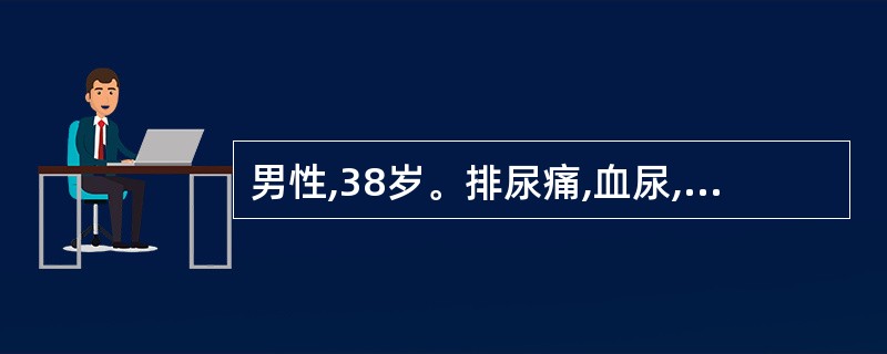 男性,38岁。排尿痛,血尿,排尿困难。该患者可能是