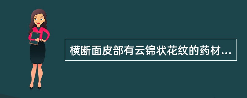 横断面皮部有云锦状花纹的药材是 A、牛膝 B、商陆 C、当归 D、桔梗 E、何首