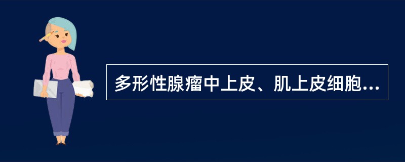 多形性腺瘤中上皮、肌上皮细胞与什么组织相混合