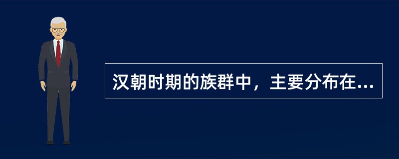 汉朝时期的族群中，主要分布在南部地区和东南地区的是（）。