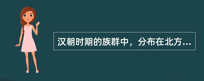 汉朝时期的族群中，分布在北方地区，以游牧为主并最终形成一个强盛的帝国的是（）。