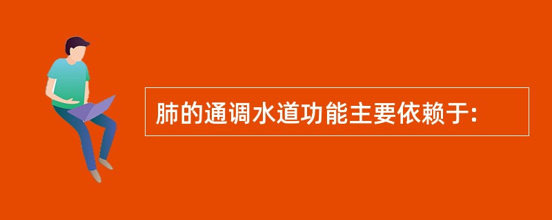 肺的通调水道功能主要依赖于: