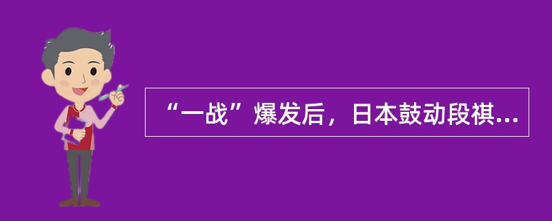 “一战”爆发后，日本鼓动段祺瑞政府出兵参战而允诺的条件是（）